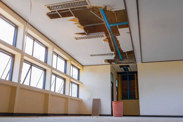 Best Water damage repair service  in Virginia Gardens, FL