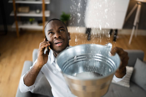 Best Ceiling water damage repair  in Virginia Gardens, FL