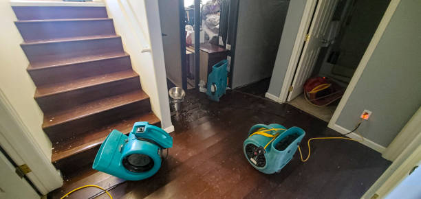 Best Commercial water damage restoration  in Virginia Gardens, FL