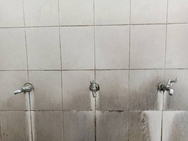 Best Flood restoration services  in Virginia Gardens, FL