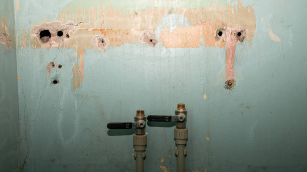  Virginia Gardens, FL Water damage restoration Pros