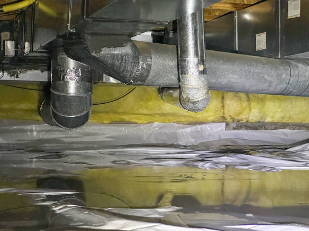 Best Water damage restoration process  in Virginia Gardens, FL