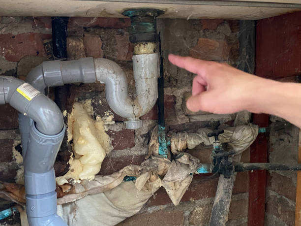 Best Sewage cleanup and water damage restoration  in Virginia Gardens, FL