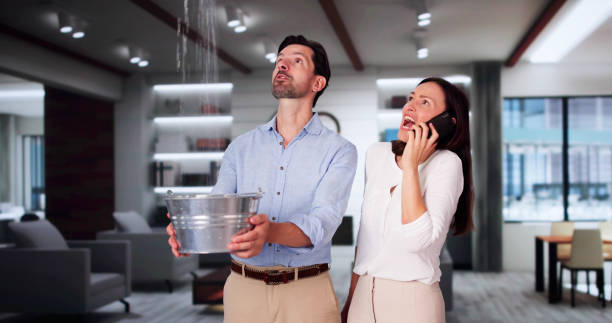 Best Carpet water damage restoration  in Virginia Gardens, FL