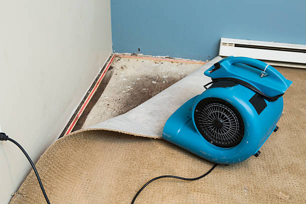  Virginia Gardens, FL Water damage restoration Pros